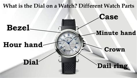 what is a watch's dial.